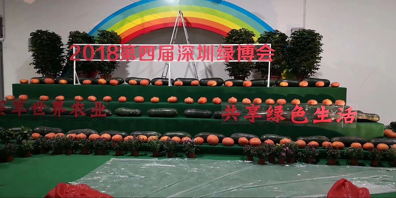 湖北有機山茶油