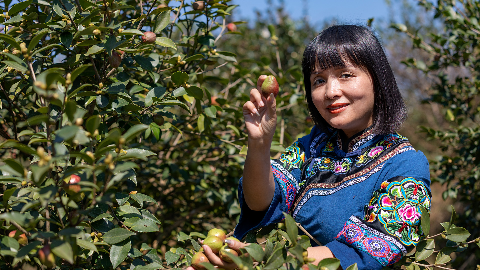 IMG_8312_1920_169.jpg IMG_8312_1920_169.jpg