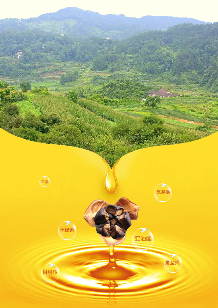 茶油詳情頁_03.jpg