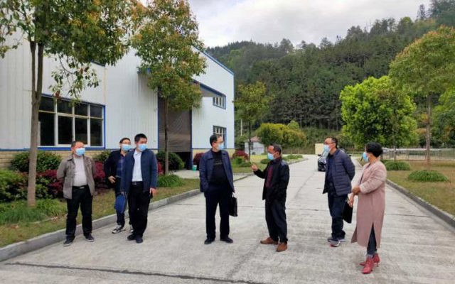 2020年州農(nóng)業(yè)局杜局長(zhǎng)一行人來(lái)工廠視察