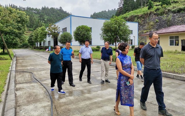 2020年7月3日恩施州黃副州長，來鳳縣杜副縣長來司調(diào)研